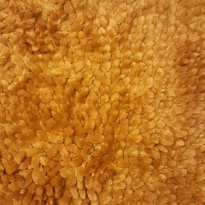 Meet your Posher, Shanae